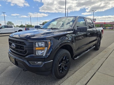 2023 Ford F-150 XL Rattler